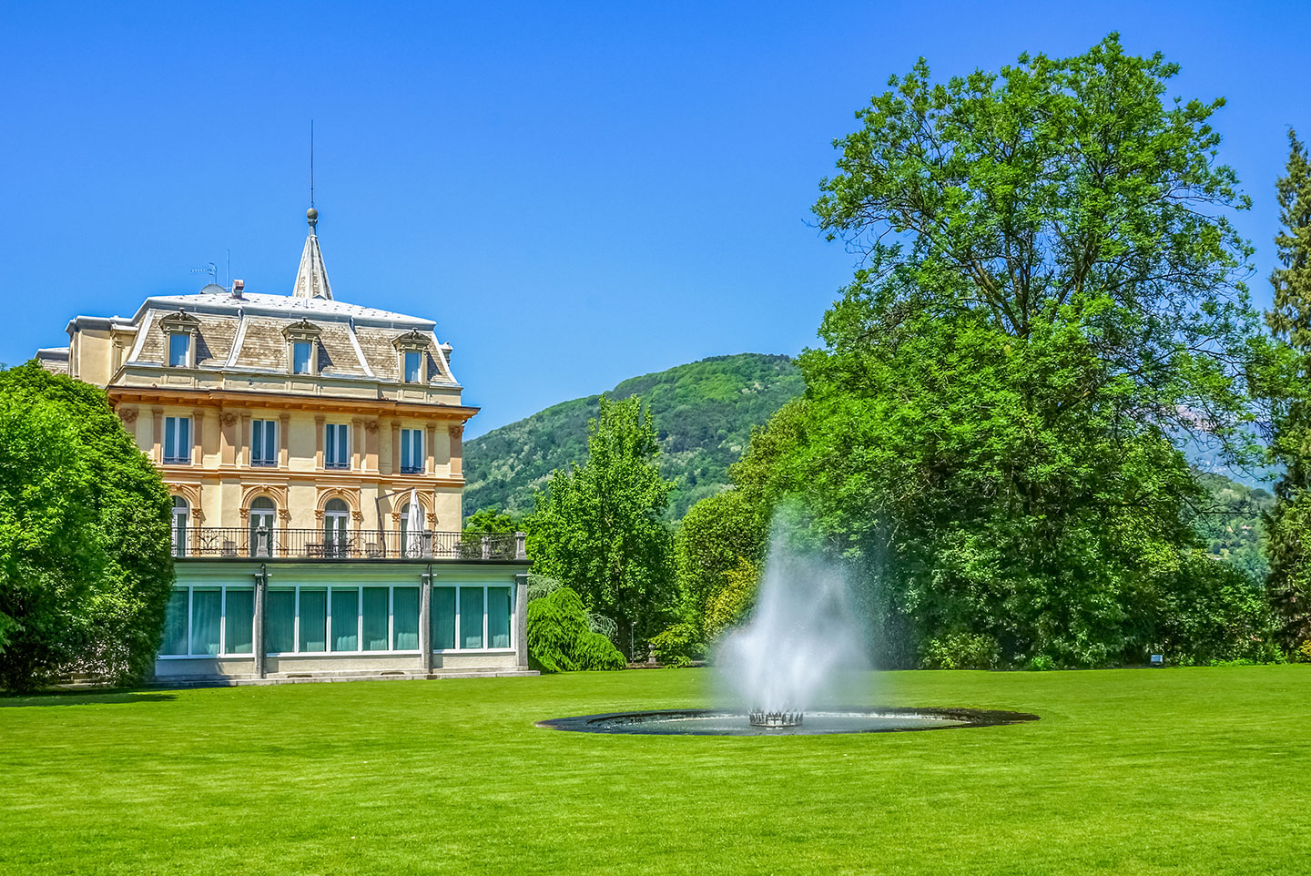 Equestrian House for Rent